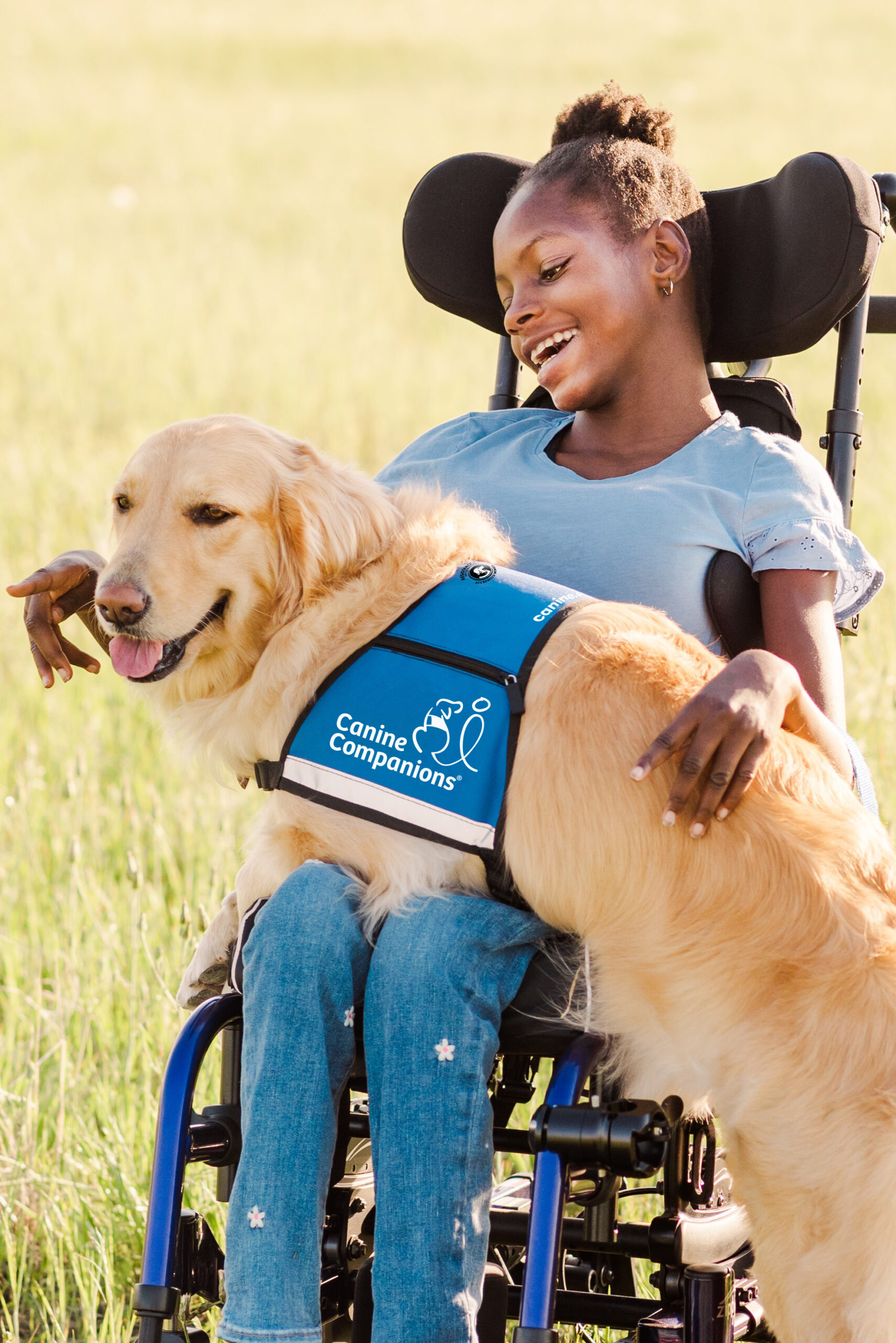 Girl in wheelchair smiling at a golden retriever dog sitting on her lap who is wearing a blue vest with the text Canine Companions