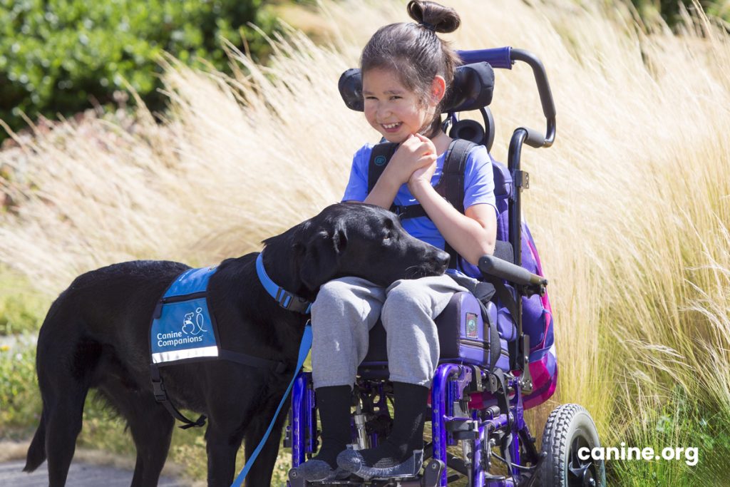 disable kid with her service dog next to her