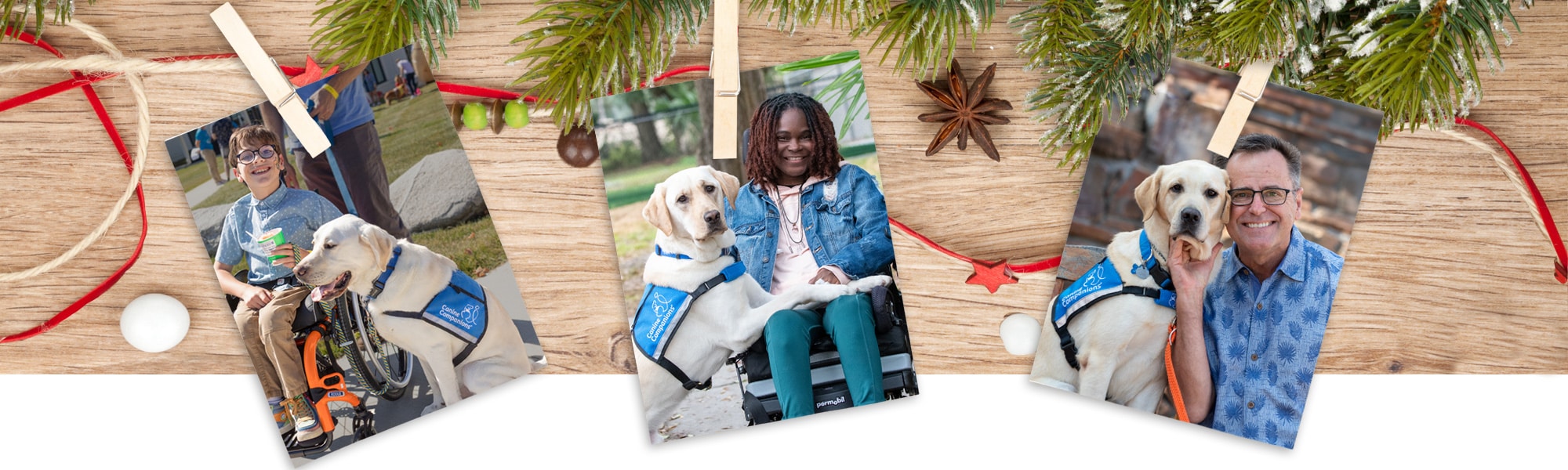 three images of service dog teams pinned to string with wood and evergreen branches behind them