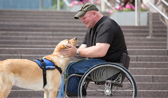 Man looking at Canine Companions service dog