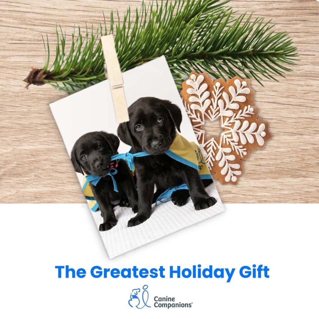 A photo of two black lab puppies in yellow puppy capes with evergreen and cookies with the words The Greatest Holiday Gift and the Canine Companions logo