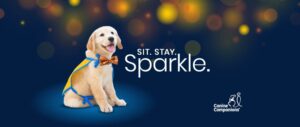 Sit. Stay. Sparkle. logo with Canine Companions puppy