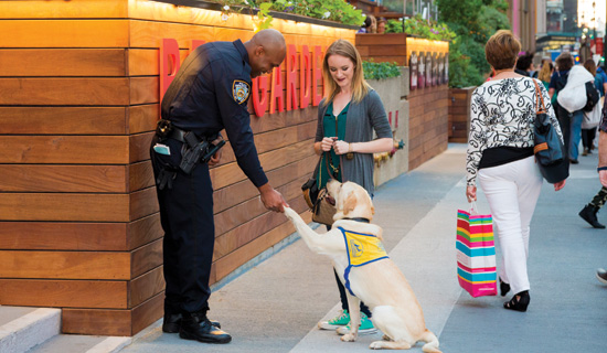 woman with assistance dog meets policeman